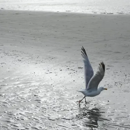 In Near Dunes *