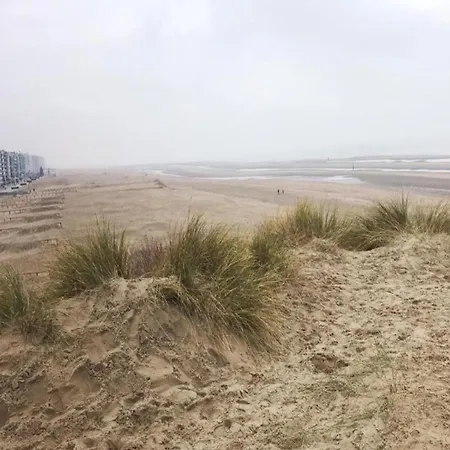 In Near Dunes *